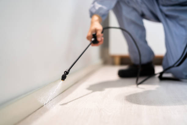 Licensed Termite Control service in Memphis, TX - Nex Pest Control