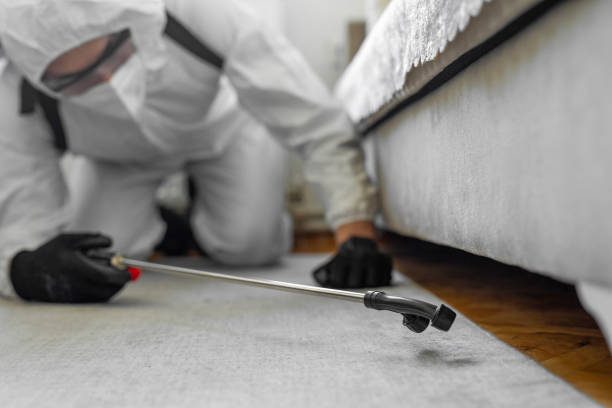 Professional Termite Control technician working in Memphis, TX