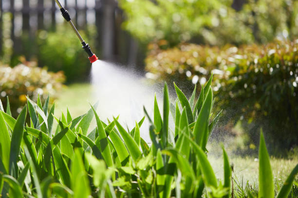 24/7 Emergency Termite Control experts in Memphis, TX