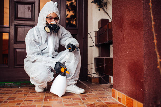Reliable Termite Control contractor in Memphis, TX by Nex Pest Control